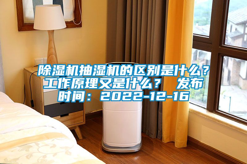 除濕機抽濕機的區別是什么？工作原理又是什么？ 發布時間：2022-12-16