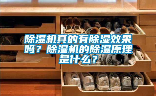 除濕機真的有除濕效果嗎？除濕機的除濕原理是什么？