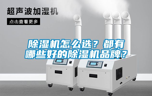 除濕機怎么選？都有哪些好的除濕機品牌？
