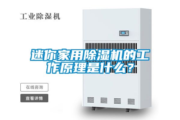 迷你家用除濕機的工作原理是什么？