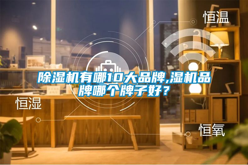 除濕機有哪10大品牌,濕機品牌哪個牌子好？