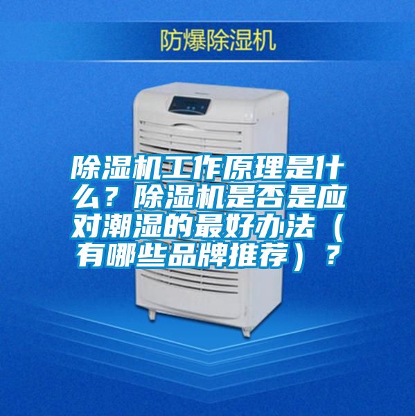除濕機工作原理是什么？除濕機是否是應對潮濕的最好辦法（有哪些品牌推薦）？
