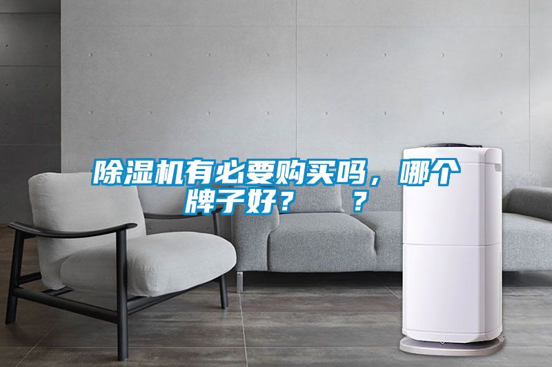 除濕機有必要購買嗎，哪個牌子好？  ？