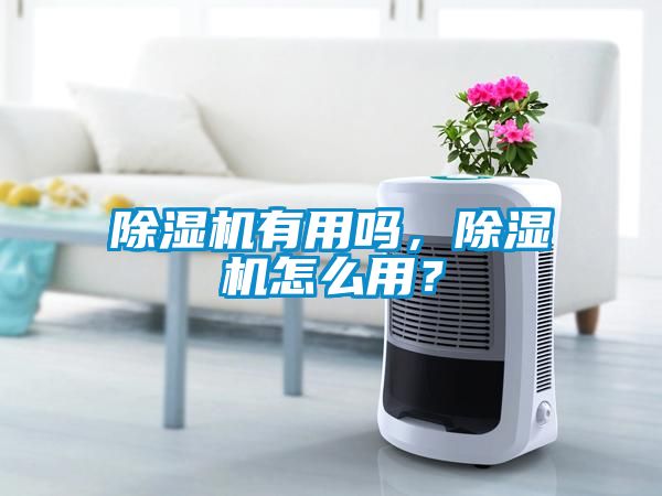除濕機有用嗎，除濕機怎么用？
