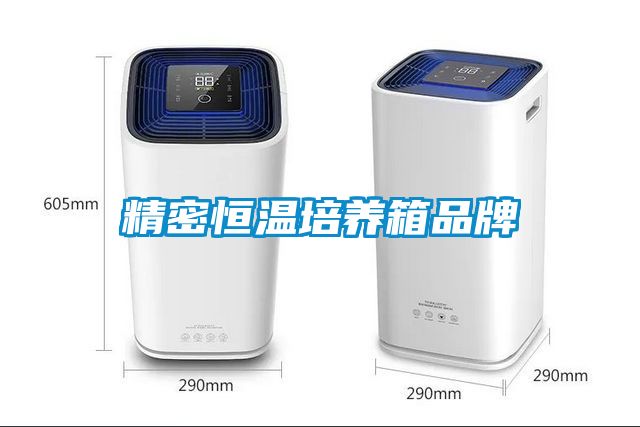 精密恒溫培養箱品牌