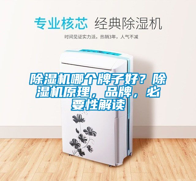 除濕機哪個牌子好？除濕機原理，品牌，必要性解讀