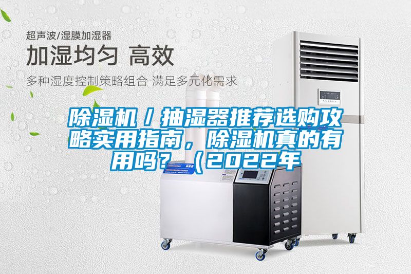 除濕機／抽濕器推薦選購攻略實用指南，除濕機真的有用嗎？（2022年