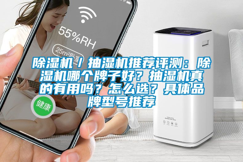 除濕機／抽濕機推薦評測：除濕機哪個牌子好？抽濕機真的有用嗎？怎么選？具體品牌型號推薦