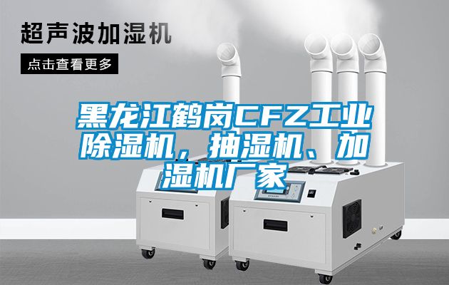 黑龍江鶴崗CFZ工業除濕機，抽濕機、加濕機廠家