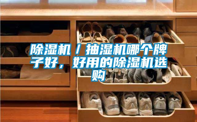 除濕機／抽濕機哪個牌子好，好用的除濕機選購