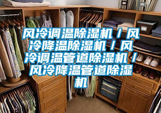 風冷調溫除濕機／風冷降溫除濕機／風冷調溫管道除濕機／風冷降溫管道除濕機