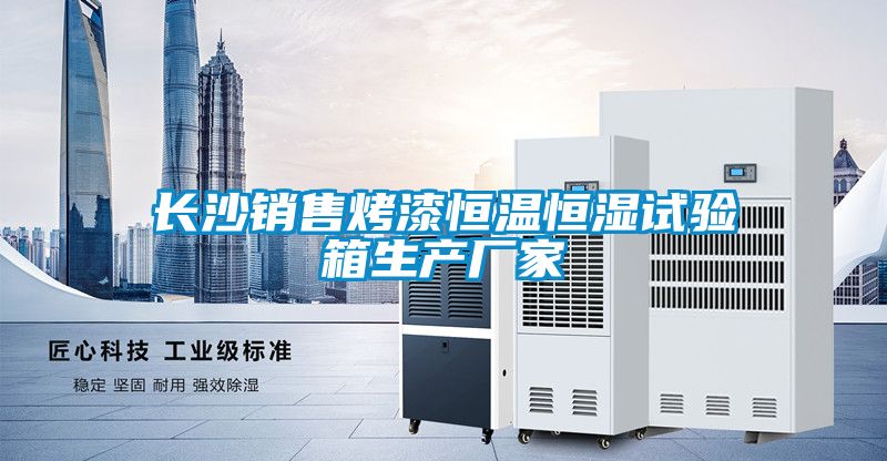 長沙銷售烤漆恒溫恒濕試驗箱生產廠家