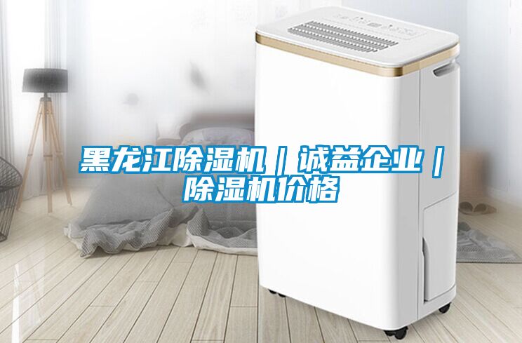 黑龍江除濕機｜誠益企業｜除濕機價格