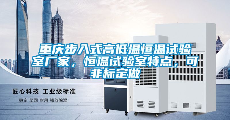 重慶步入式高低溫恒溫試驗室廠家，恒溫試驗室特點，可非標定做