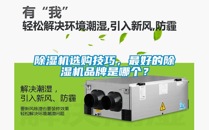 除濕機選購技巧，最好的除濕機品牌是哪個？