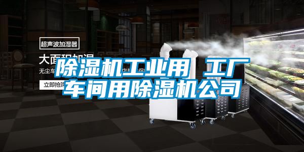 除濕機工業用 工廠車間用除濕機公司