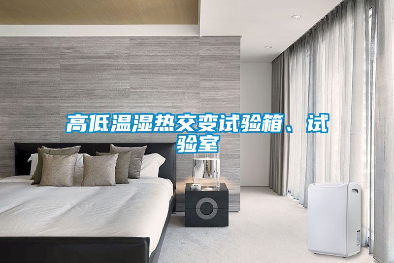 高低溫濕熱交變試驗箱、試驗室