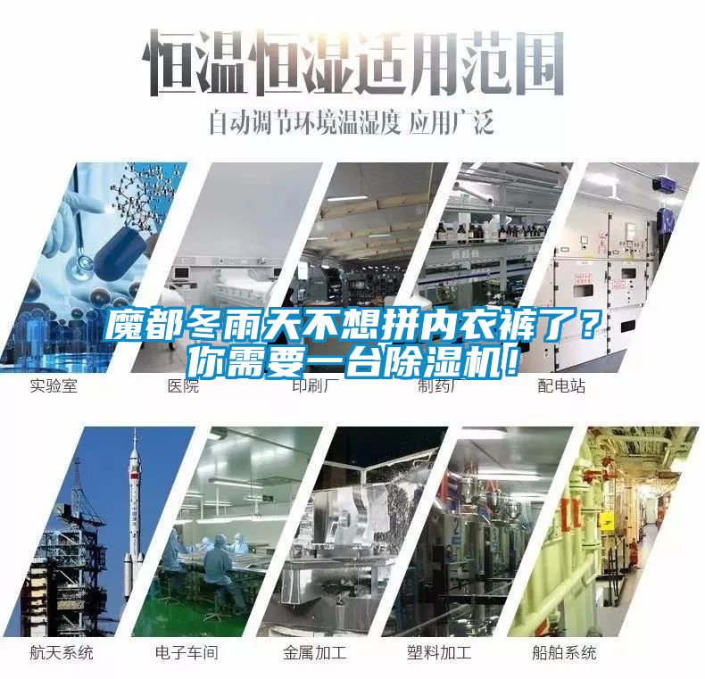 魔都冬雨天不想拼內衣褲了？你需要一臺除濕機！