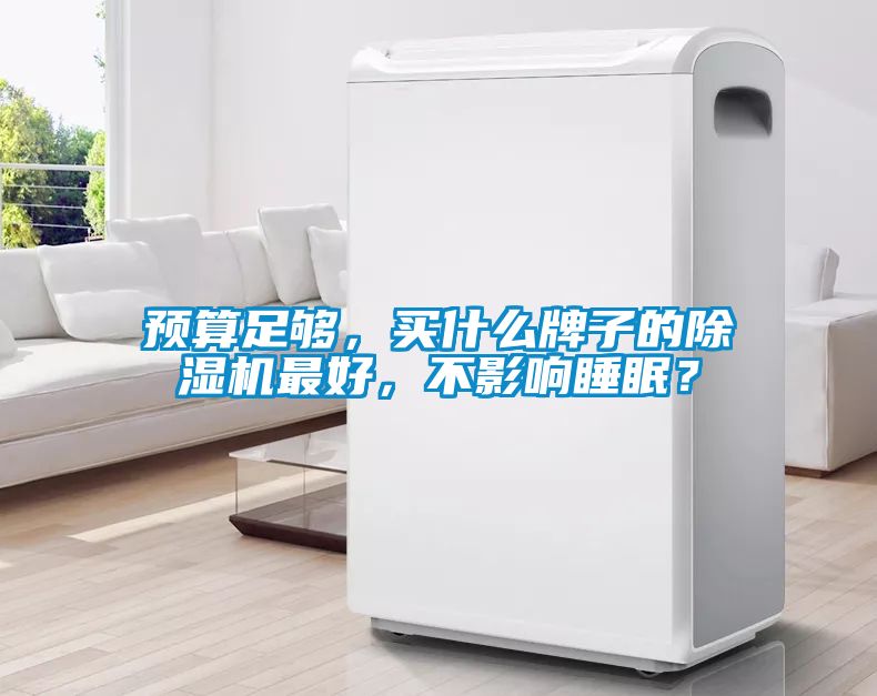 預算足夠，買什么牌子的除濕機最好，不影響睡眠？
