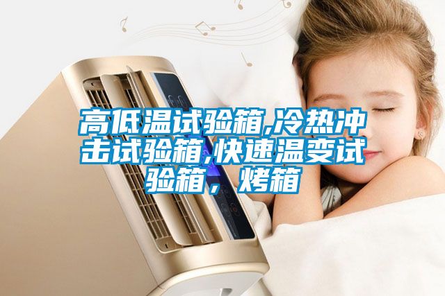 高低溫試驗箱,冷熱沖擊試驗箱,快速溫變試驗箱，烤箱