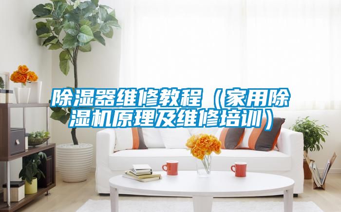 除濕器維修教程（家用除濕機原理及維修培訓）
