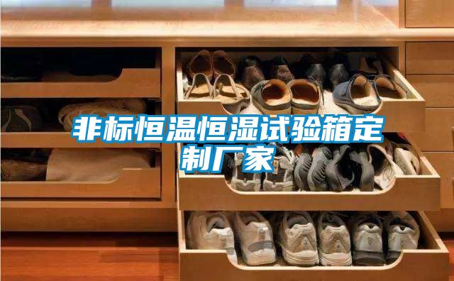 非標恒溫恒濕試驗箱定制廠家