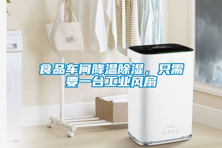 食品車間降溫除濕，只需要一臺工業風扇