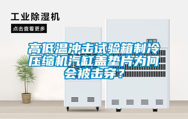 高低溫沖擊試驗箱制冷壓縮機汽缸蓋墊片為何會被擊穿？