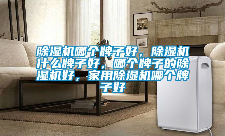 除濕機哪個牌子好，除濕機什么牌子好，哪個牌子的除濕機好，家用除濕機哪個牌子好