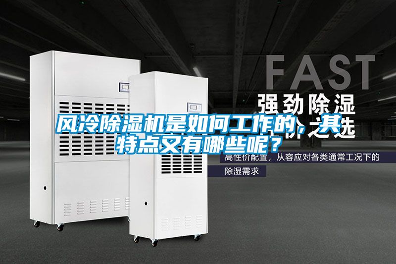 風冷除濕機是如何工作的，其特點又有哪些呢？