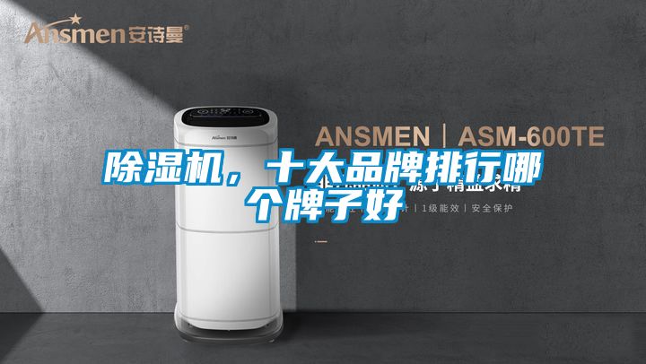 除濕機，十大品牌排行哪個牌子好