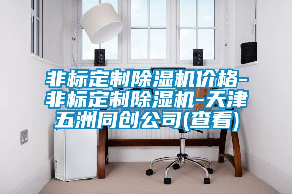 非標定制除濕機價格-非標定制除濕機-天津五洲同創公司(查看)