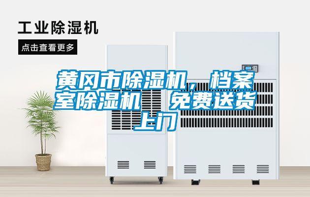 黃岡市除濕機，檔案室除濕機  免費送貨上門