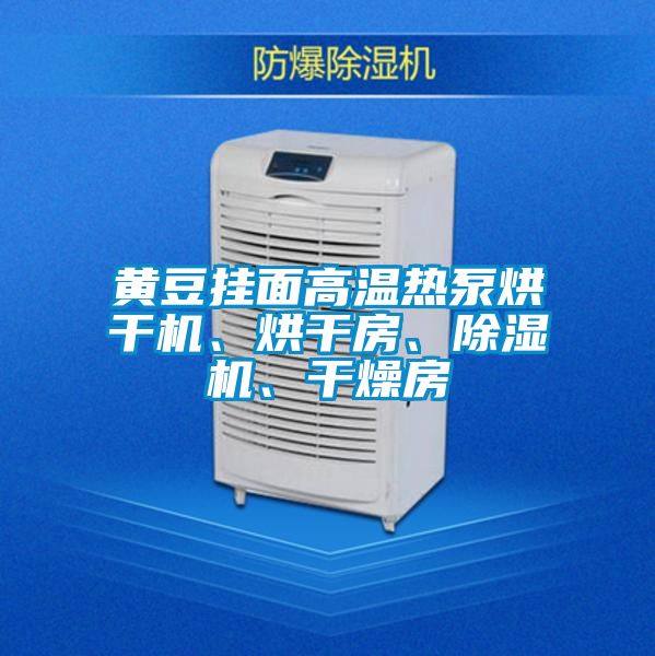 黃豆掛面高溫熱泵烘干機、烘干房、除濕機、干燥房