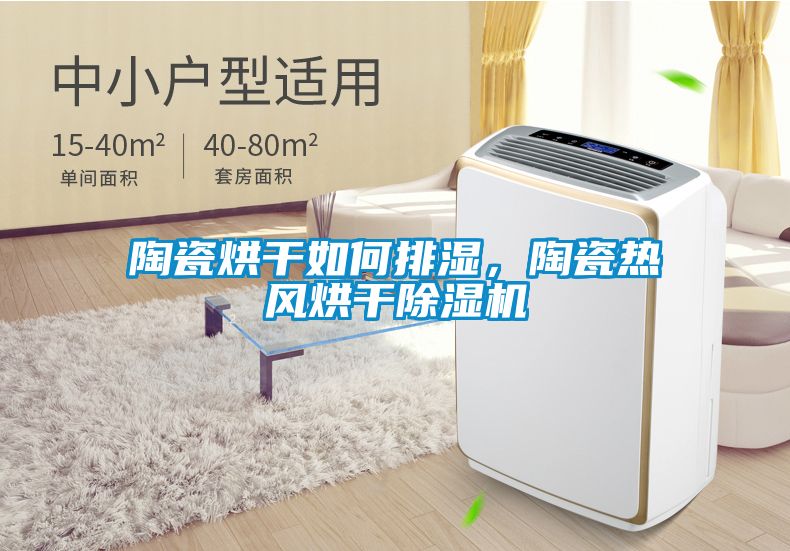 陶瓷烘干如何排濕，陶瓷熱風烘干除濕機