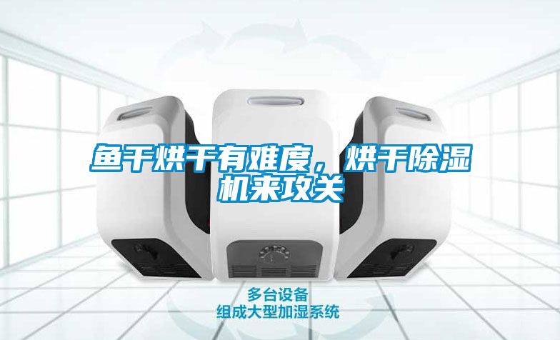 魚干烘干有難度，烘干除濕機來攻關