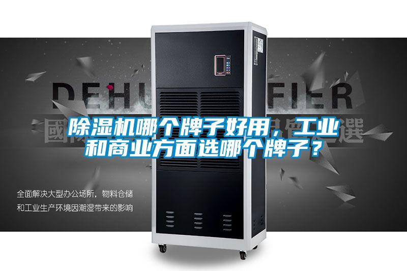 除濕機哪個牌子好用，工業和商業方面選哪個牌子？