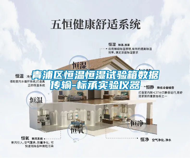 青浦區恒溫恒濕試驗箱數據傳輸-標承實驗儀器