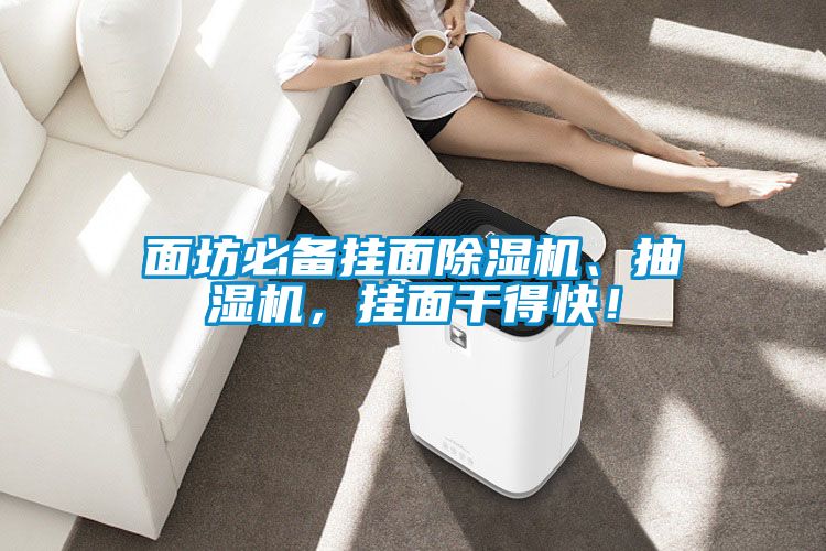 面坊必備掛面除濕機、抽濕機，掛面干得快！