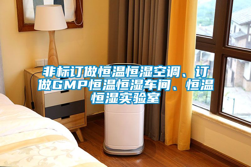 非標訂做恒溫恒濕空調、訂做GMP恒溫恒濕車間、恒溫恒濕實驗室