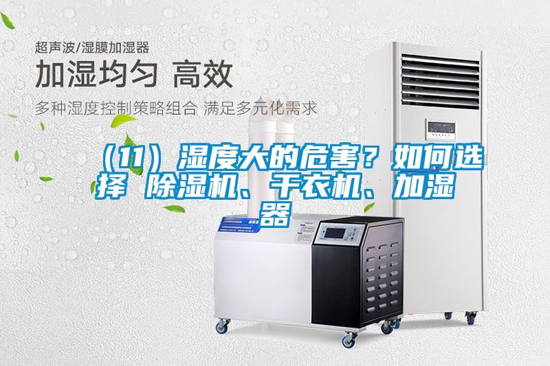 （11）濕度大的危害？如何選擇 除濕機、干衣機、加濕器