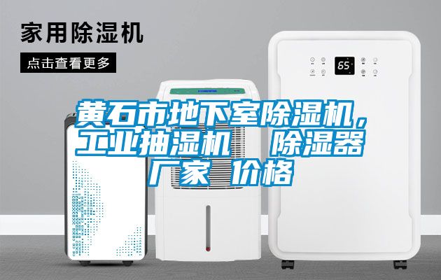 黃石市地下室除濕機，工業抽濕機  除濕器廠家 價格