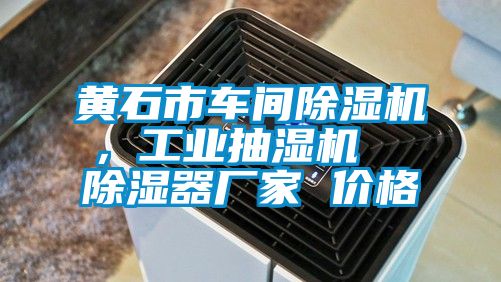 黃石市車間除濕機，工業抽濕機  除濕器廠家 價格