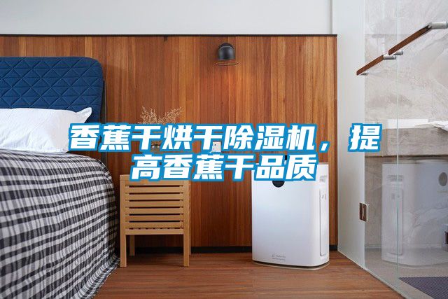 香蕉干烘干除濕機，提高香蕉干品質