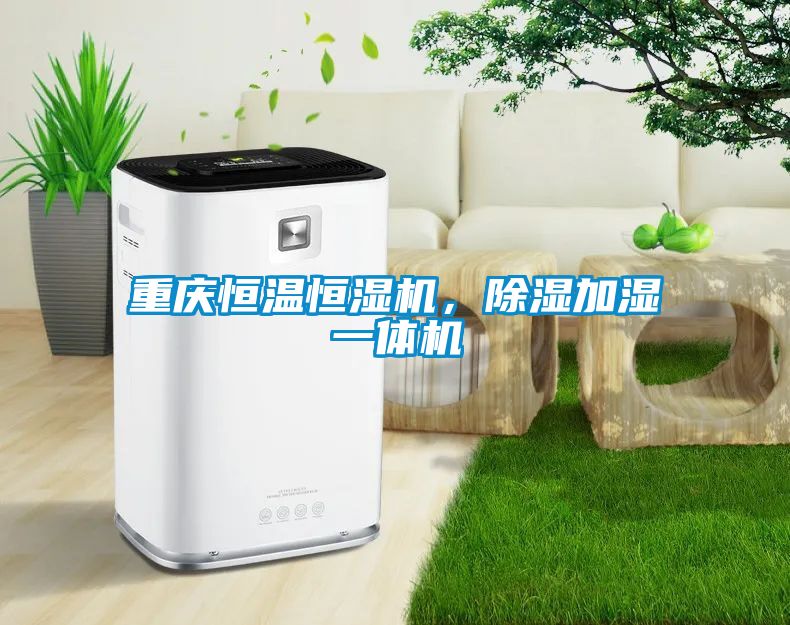 重慶恒溫恒濕機，除濕加濕一體機