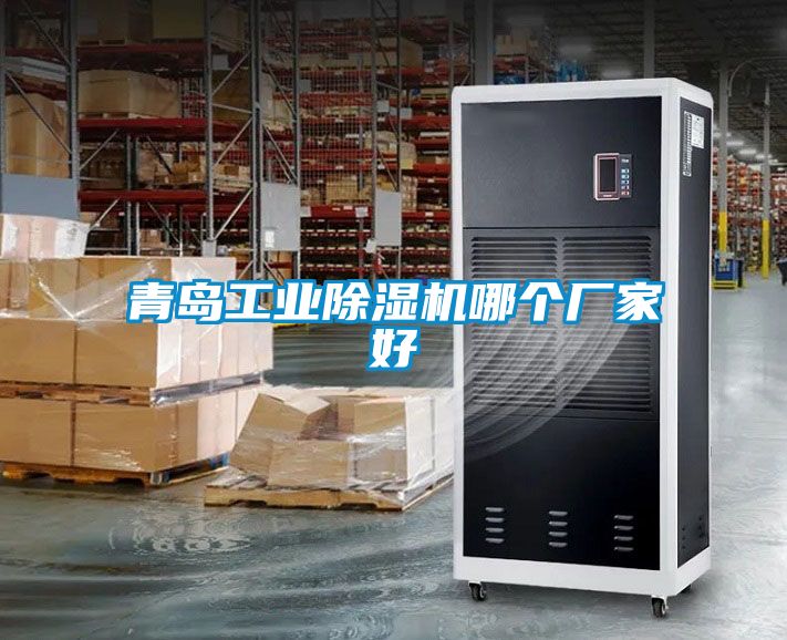 青島工業除濕機哪個廠家好
