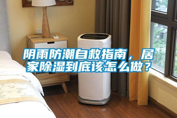 陰雨防潮自救指南，居家除濕到底該怎么做？