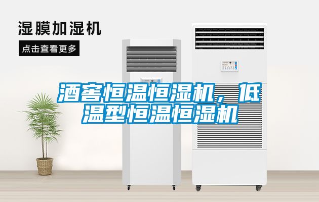 酒窖恒溫恒濕機，低溫型恒溫恒濕機
