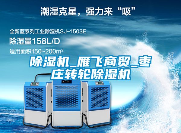 除濕機_雁飛商貿_棗莊轉輪除濕機