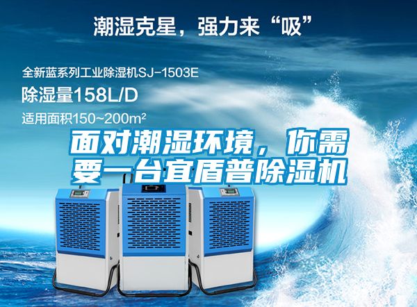 面對潮濕環境，你需要一臺宜盾普除濕機